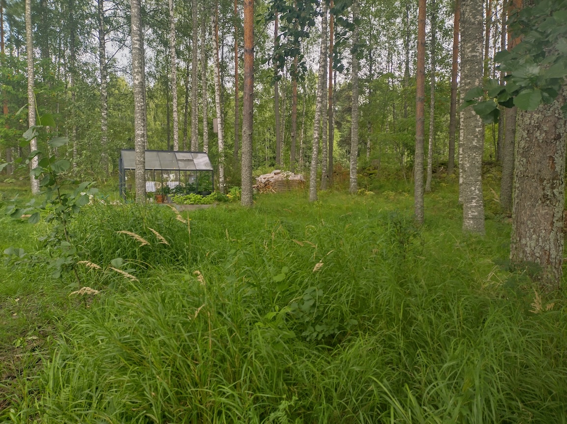 Piha ilman nurmikkoa voi olla kaunis