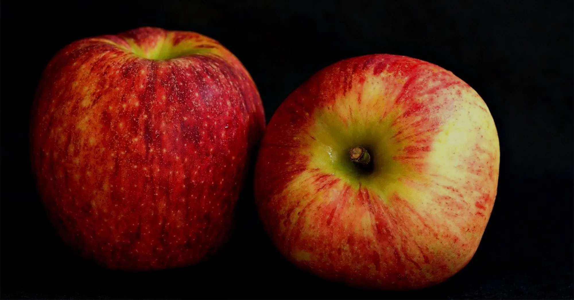 What is the difference between the Corporate Sustainability Reporting Directive and the Corporate Sustainability Due Diligence Directive?