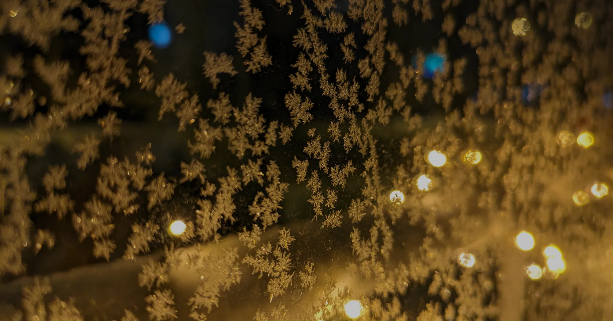 Medita toivottaa rauhallista joulunaikaa