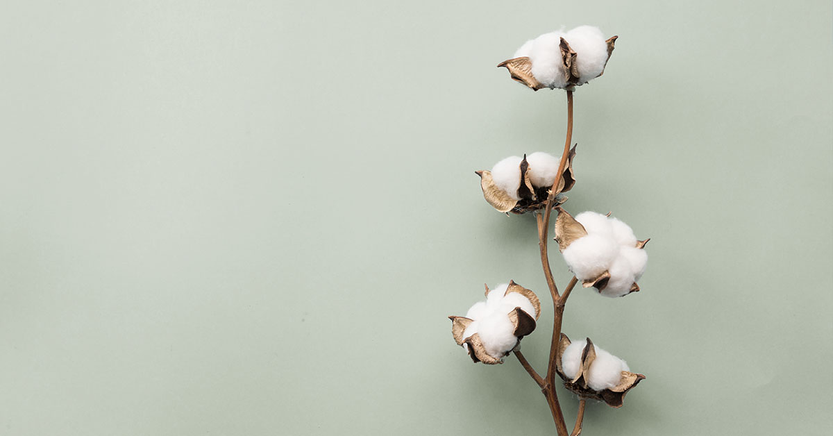 Puuvilla on raaka-aine, jonka vastuullista tuotantoa voi olla haastavaa arvioida toimitusketjussa.